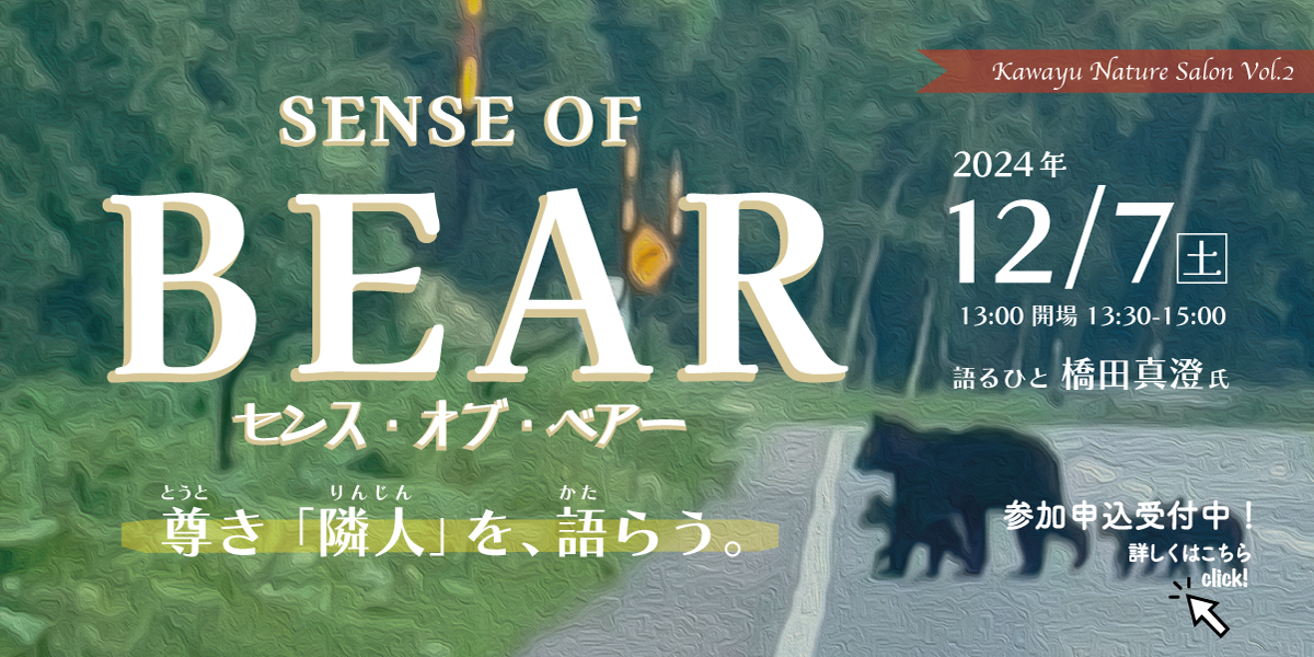 senseofbear